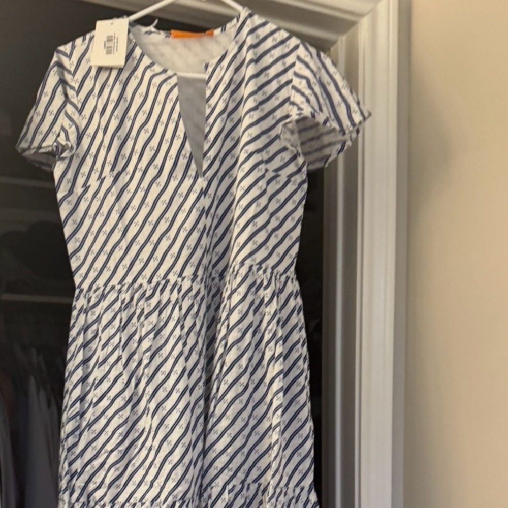 Tuckernuck Blue and White Maxi Dress